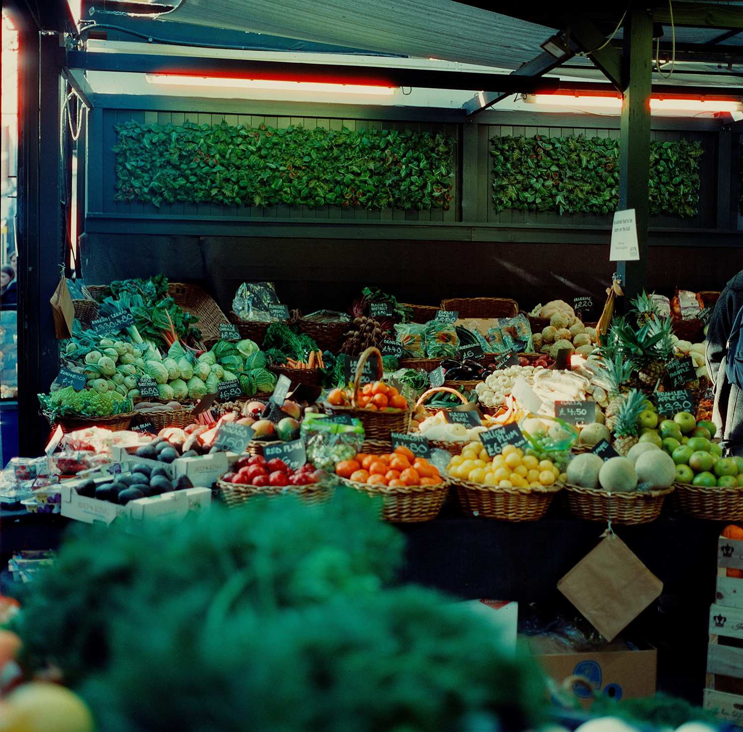 Agriculture Products