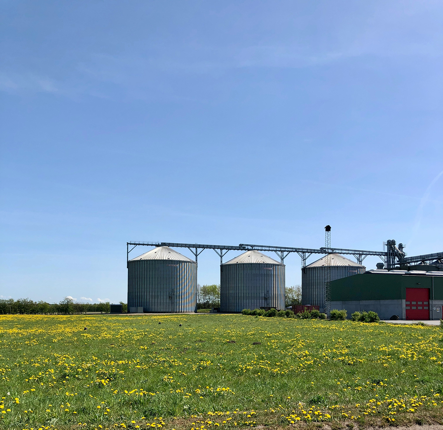 Agriculture Products